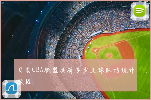 目前CBA联盟共有多少支球队的统计数据