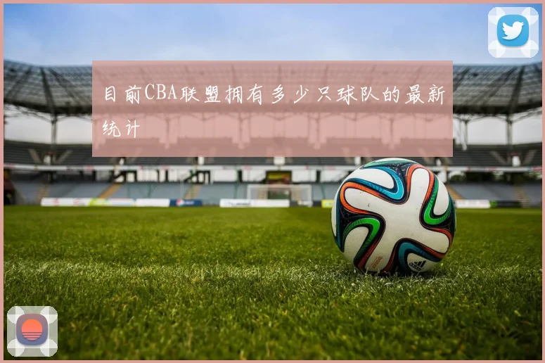 目前CBA联盟拥有多少只球队的最新统计