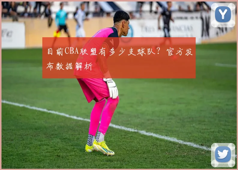 目前CBA联盟有多少支球队？官方发布数据解析