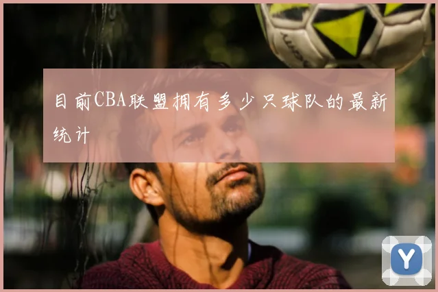 目前CBA联盟拥有多少只球队的最新统计