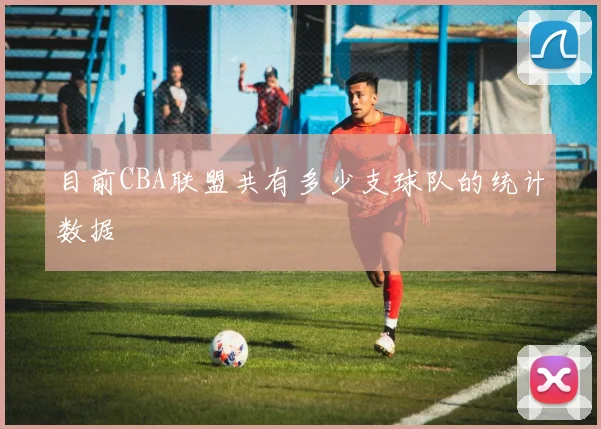 目前CBA联盟共有多少支球队的统计数据