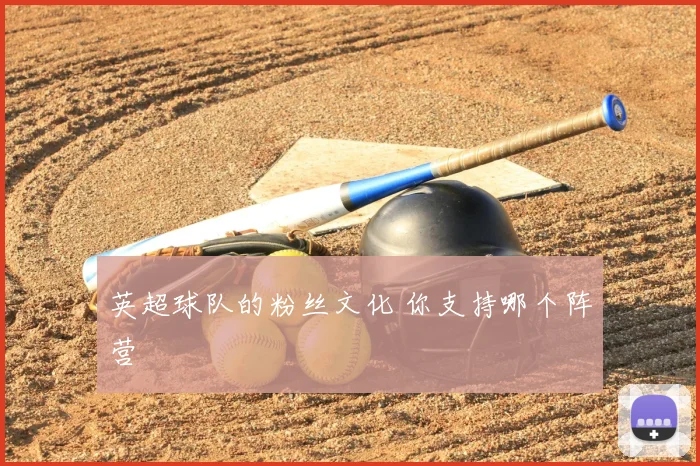 英超球队的粉丝文化 你支持哪个阵营